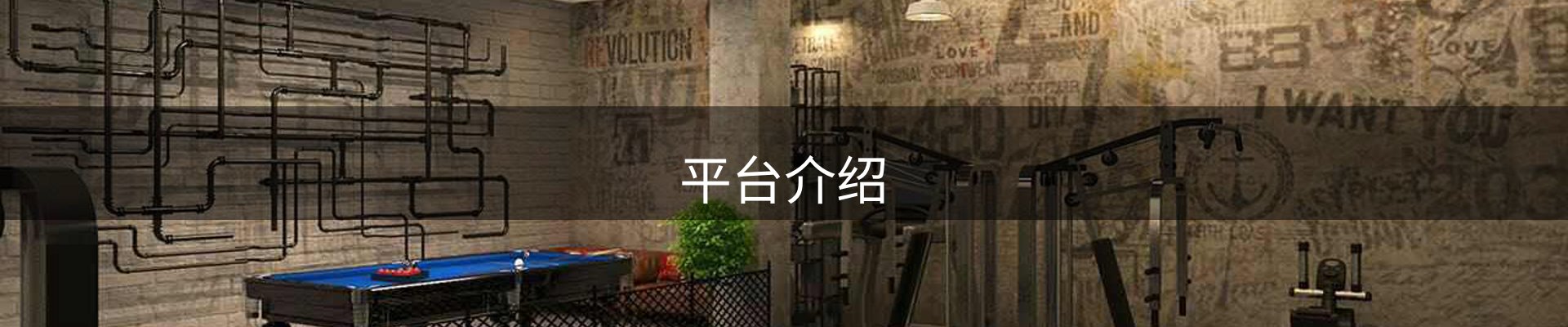 平台介绍